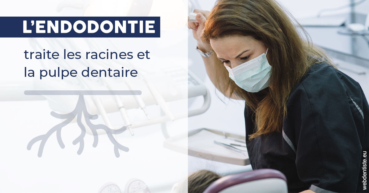 https://dr-assayag-nadine.chirurgiens-dentistes.fr/L'endodontie 1