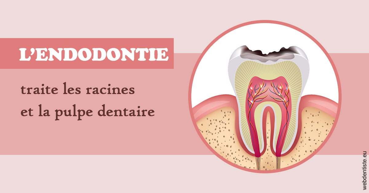https://dr-assayag-nadine.chirurgiens-dentistes.fr/L'endodontie 2