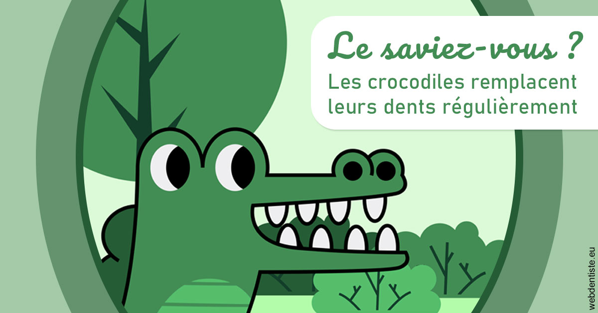 https://dr-assayag-nadine.chirurgiens-dentistes.fr/Crocodiles 2